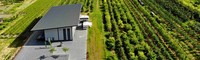 Weingut Sexauer Stellplatz
